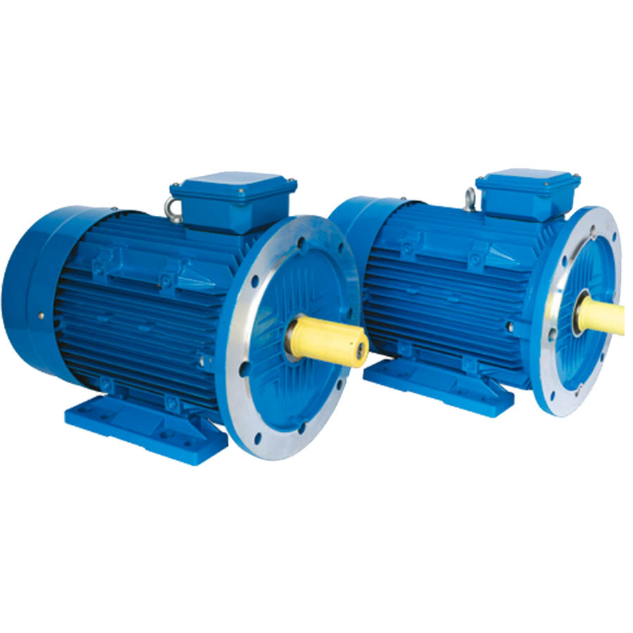 自啟動三相節(jié)能永磁同步電動機(jī)